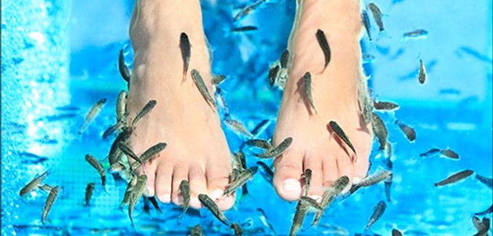  Lad doktorfiskene rense dine fødder! - Fiskespa for 1 pers., vælg ml. 30-45 min. hos Århus Fiskespa, normalpris op til kr. 200,- 