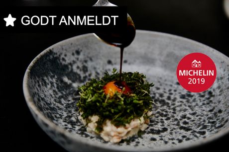 Spis med 33%. Restaurant Mes: 5 stjerner til Mes & Mads Magnusson (tidl. Geranium & Noma).