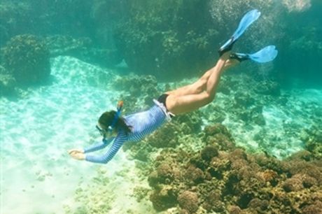 Passeio de Barco pela Costa Azul + Snorkeling | 1 Pessoa por 54€. Descubra o Mundo Subaquático!