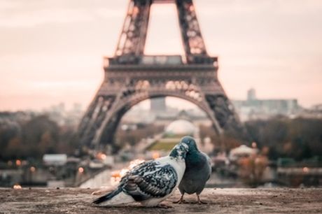 Paris : chambre Queen Standard  pour 2 personnes à l'hôtel ibis Styles Paris Boulogne Marcel Sembat
