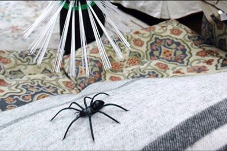  Sådan slipper du nemt af med småkrybene derhjemme! - 1 stk. Spider Catcher til edderkopper og insekter, inkl. levering, værdi kr. 314,- 