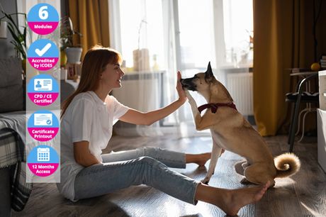 £12 (from International Open Academy) for a dog training essentials online course