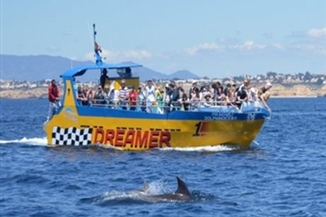 Passeio na Embarcação Insónia ou Dreamer Junto ás Falésias Algarvias. Veja os Golfinhos e as Grutas em ALBUFEIRA desde 25€. Desfrute do Momento!