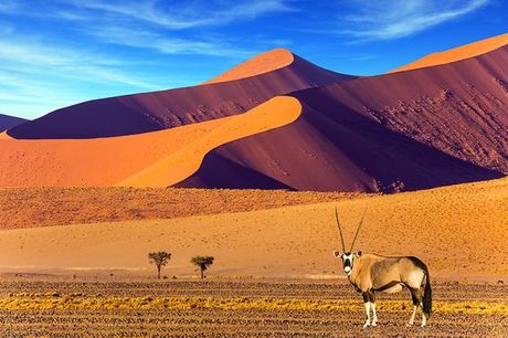 Namibië Namibië - Autotour van 14 nachten door Namibië vanaf € 1 609,00. Prachtige landschappen en onvergetelijke avonturen met het hele gezin