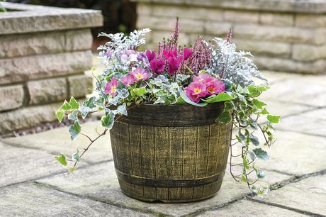 £8.99 instead of £17.99 for two whiskey barrel style outdoor planters, £17.99 for five planters from Thompson & Morgan - save up to 55% 