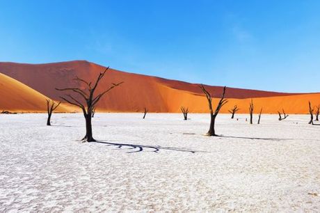 Namibië Namibië - Autotour van 10 of 13 nachten door Namibië vanaf € 1 432,00. Prachtige landschappen, woeste woestijnen en ongerepte natuur