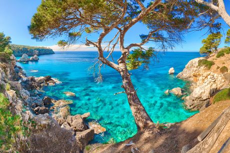 An all-inclusive Mallorca, Spain stay with return flights from four airports. From £99pp for three nights, from £179pp for five nights, or from £299pp for seven nights - jet off to a green list stay in the Balearic Islands and save 41%