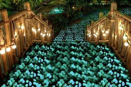 Pack de 100 piedras de jardín fluorescentes que brillan en la oscuridad
