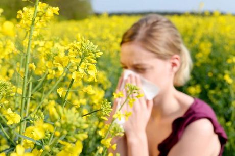 £12 for an online Buteyko: Allergens, Hayfever, High Blood Pressure course from OfCourse Learning 