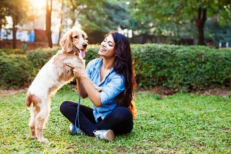 £16 for an online Animal Healing & Communication Diploma course from Of Course Learning