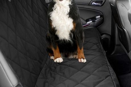 Protector de asientos del coche para mascota