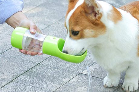 Botella de agua para mascotas. ¡Más portatil que tu mascota! Embotella esta oferta para que a tu peludo nunca le de sed.Te ofrecemos una botella de agua portátil para mascotas por 9,99 €.