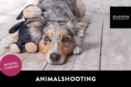 60 Min. ANIMAL-Fotoshooting-Erlebnis + Bilder & Goldcard bei studioline Photography (bis zu 77% sparen*)