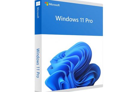 Windows 11 Pro Licentie <h3><strong>Wat krijg je?</strong></h3>
<ul>
 <li>Windows 11 Pro Licentie</li>
</ul>
<h3><strong>Voorwaarden & bijzonderheden</strong></h3>
<ul>
 <li><strong>Geldigheid: </strong>je hebt vanaf activering 12 maanden lang toegang tot