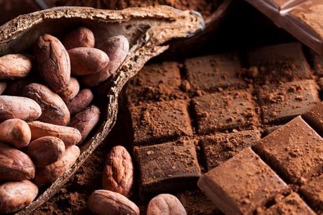 Cacaomuseum mét rondleiding en proeverij 