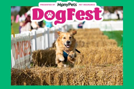 £16 instead of £21.40 for entry to DogFest 2022, or £29 for two people – choose from six locations and save up to 25%