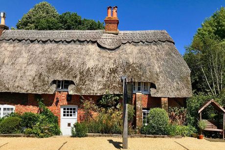 £27 -- 17th-century New Forest cottage: afternoon tea for 2