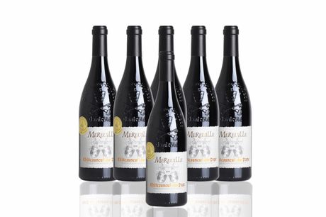 6 eller 12 fl. Châteauneuf du Pape. Forkæl dine gæster med en fuldendt vinoplevelse! Châteauneuf du Pape “Les Baptaurels” 2019 Domaine La Mereuille er en harmonisk, fyldig og krydret vin, der kan nydes nu eller gemmes i helt op til 15 år.