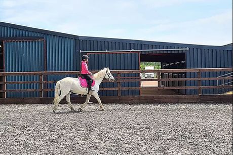 £14 instead of £20 for a ride n play session for one child at Turlood Equestrian Centre, Lesmahagow including a pony ride, meet the animals session and playground entry, £27 for two kids, £39 for three kids, or £50 for four kids  - save up to 30%