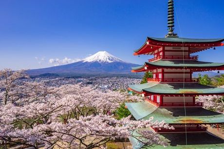 Giappone Tokyo - Tour in libertà: Il Giappone da Est a Ovest a partire da € 1.267,00. Avventura di 9 o 10 notti nel Paese del Sol Levante