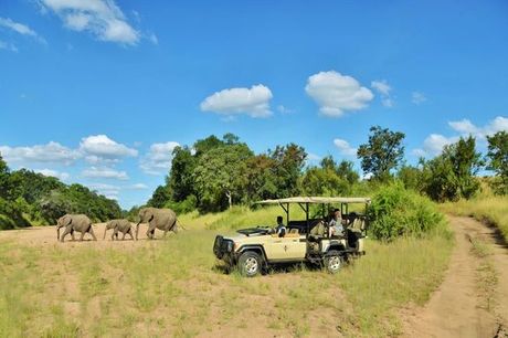 Sudafrica Johannesburg - Autotour di 7 notti alla scoperta dei Big Five con safari e visita ai c.... Affascinante esperienza tra fauna selvatica e paesaggi sublimi