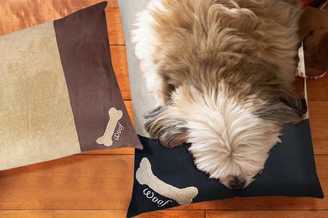 From £10.99 instead of £25.99 for a bone patterned fleece dog bed cover from Silent Dreams - save up to 50% 