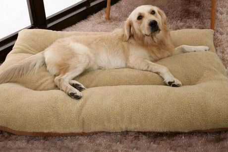 £19.99 instead of £29.99 for a small dog bed, £22.99 for a medium dog bed and £36.99 for a large dog bed from Silent Dreams - save up to 33%