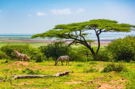 Tanzania Tanzania - Safari collettivo: Nella natura con estensione a Zanzibar a partire da € 2.0.... Le meraviglie dei parchi nazionali più famosi con guida di lingua italiana in 4 o 6 notti 