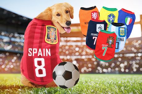 From £5.49 instead of £19.99 for a football kit costume for your dog in sizes S-4XL from Benzbag – save up to 73% 