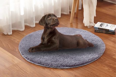£8.99 instead of £39.99 for a plush round electric heated pet bed from Obero - save 78% 