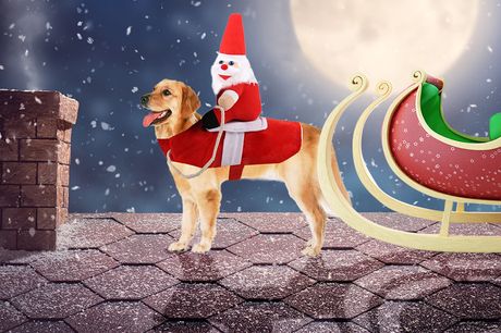 From £9.99 instead of £21.99 for Pets Funny Santa Claus Outfit from BenzBag – save up to 55%