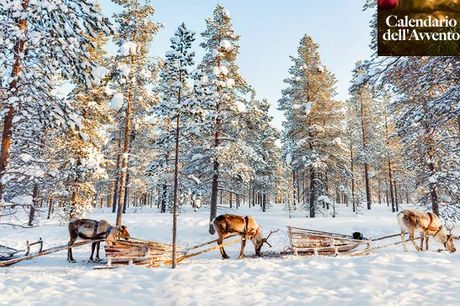 Finlandia Lapponia - Tour di 4 o 7 notti nella magia invernale della Lapponia a partire da € 532,00. Avventura incantata nella terra di Babbo Natale e incontro con le renne 