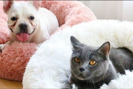  Dit kæledyr vil elske denne donut seng! - Skøn donut seng til din hund eller kat. Fås i flere størrelser og farver. Værdi op til kr. 889,- 