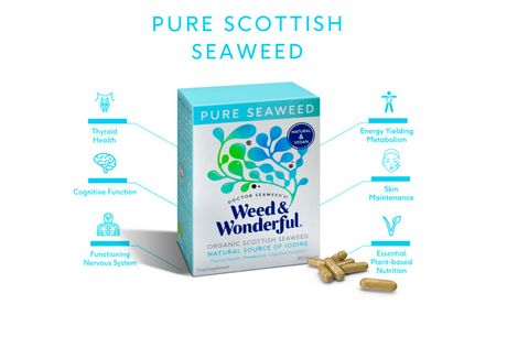 £6.99 instead of £12.95 for one-month supply of 'Weed and Wonderful' Pure Seaweed Vegan Capsules from Doctor Seaweed - save 46%