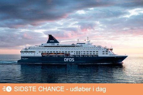 Flot Oslo-cruise til efteråret for 2 personer: Vælg mellem 3 pakker