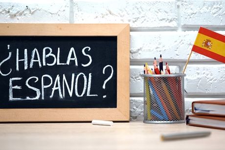 Online cursus Spaans voor beginners <h3>Wat krijg je?</h3>
<ul>
 <li>Online taalcursus Spaans voor beginners van E.M.L.</li>
 <li>Online cursusboek en begeleiding van online docent</li>
 <li>Na afloop ontvang je een certificaat</li>
</ul>
<h3>Voorwaarden 