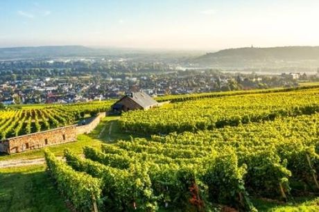 Tag på vinferie blandt vinmarker og smukke landsbyer ved Rhinen.. 2 overnatninger m. morgenmad
2 x 4-retters menu
1 x Lækker frokos
Gratis lån af cykler
1 velkomstdrink