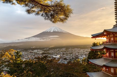 Rundrejse i Japan. 11 dage med spændende program og udflugter rundt i det imponerende og pulserende Japan. Rejs fra CPH i okt.