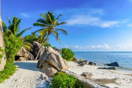 Seychelles Seychelles - Bliss Hotel Praslin 4* a partire da € 865,00. Angolo di paradiso con Spa sulle rive dell'Oceano Indiano