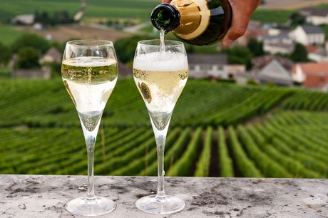 £175 -- Stay in the Champagne region w/tastings & vineyard tour