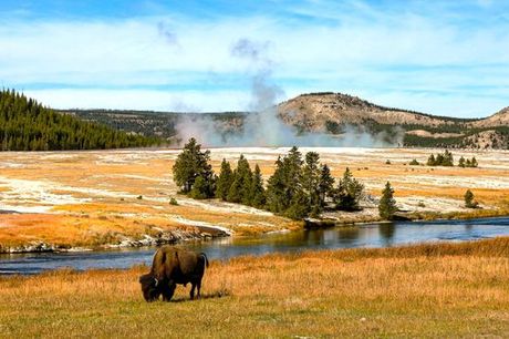 Stati Uniti Stati Uniti - Autotour: Rockies &amp; Yellowstone a partire da € 1.172,00. Viaggio nell'essenza selvaggia del West in 12 o 18 notti
