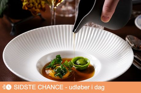 Restaurant Grønnegade: 6 gourmet-serveringer. Uforglemmelig gastronomi - til en uforglemmelig pris!