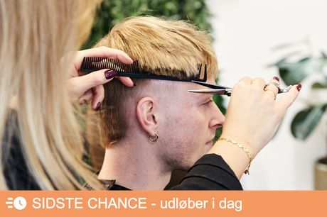 Herre- eller dameklip. Få klippet en ny frisure eller kom af med de slidte spidser hos nyåbnede frisør Ksz Hairline på Frederiksberg.