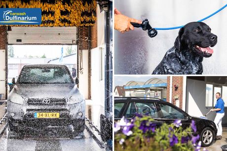  Wasbeurt voor je auto of hond 
