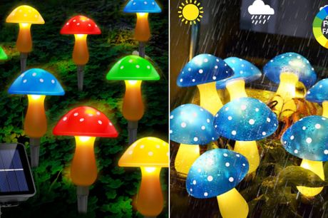 Magiske LED-lys i svampe design