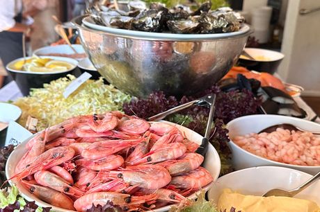 Glæd dig til en storslået smagsoplevelse til sommerens og efterårets skaldyrsbuffet, der byder på bl.a. jomfruhummer, krebs, muslinger, pil-selv rejer og meget mere på smukke Rungsted Kro ved Rungsted Havn.