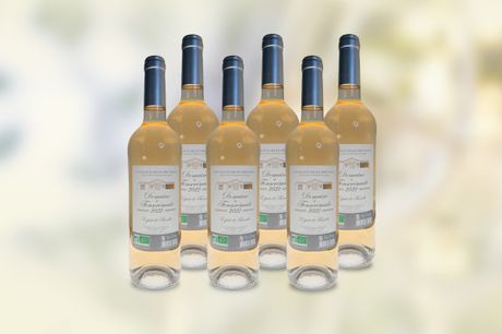 6 flasker fransk rosévin. Nyd smagen af forfriskende rosévin i solen med 6 flasker Domaine de Fonscrémade fra Provence, perfekt til sommerens retter.