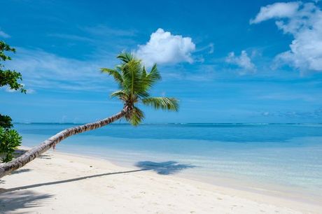 Seychelles Mahe - Canopy By Hilton Seychelles 4* a partire da € 1.773,00. Un gioiello balneare e un'oasi di relax nell'ovest dell'isola