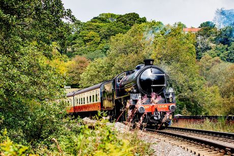 £49 -- Vintage steam train ride through North York Moors for 2